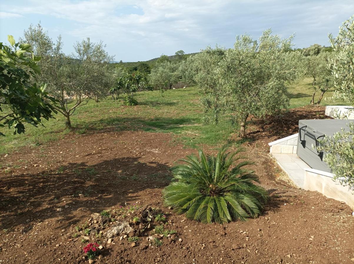 New 2023 Villa Tree Of Life Sveti Petar  Εξωτερικό φωτογραφία