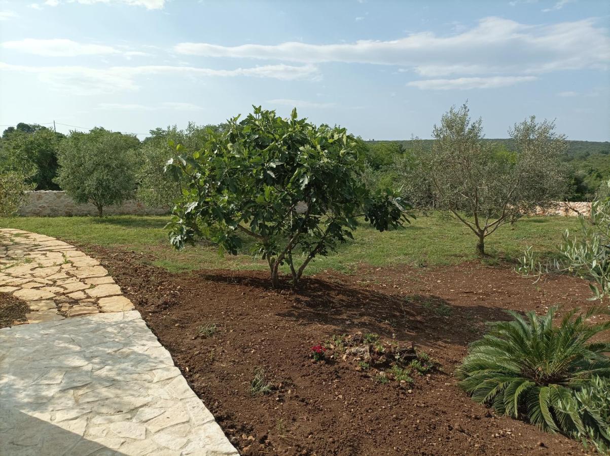 New 2023 Villa Tree Of Life Sveti Petar  Εξωτερικό φωτογραφία